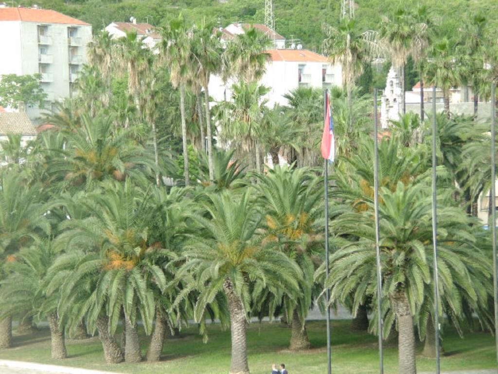 Apartments Rak วิส ภายนอก รูปภาพ